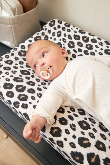 11f09ec0 55e6 467b 9de1 6fdd5a0e0b1a