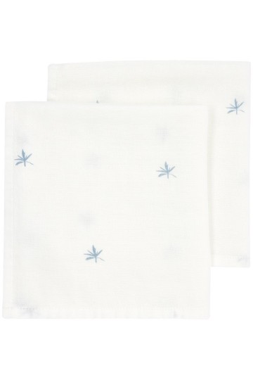 1fbbdc2f 8e1e 42fe b55e 864123cd62b9