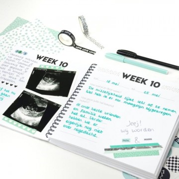 2947e205 a190 401d 9529 d90347c112ca