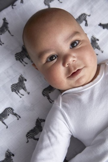 B boosfeer4273800x800