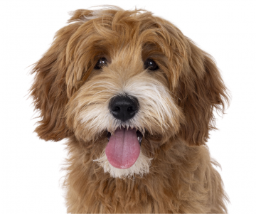 Gepersonaliseerd tegeltje 2