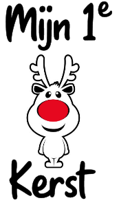 Mijn 1e kerst 2