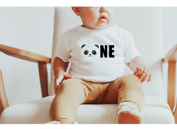 One panda verjaardag