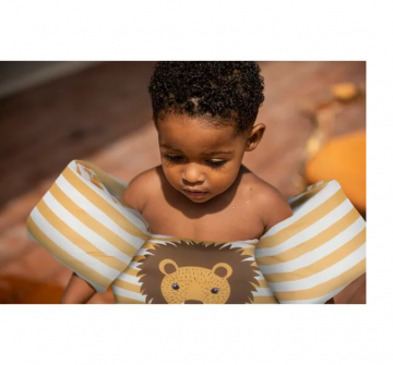 Puddle jumper leeuw3