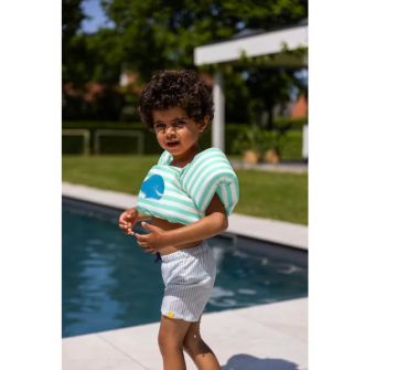 Puddle jumper walvis2