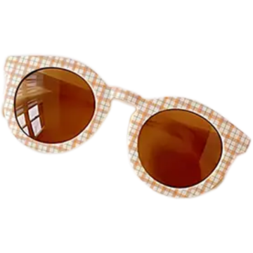 Retro zonnebril 25 ruit